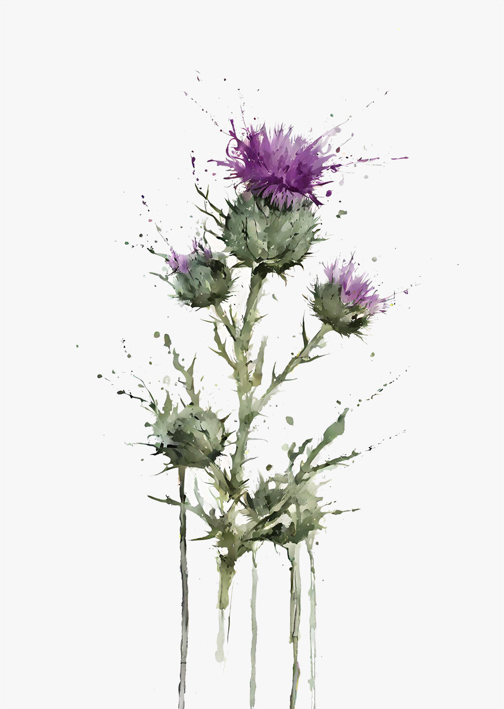 Scottish Wall Art Prints