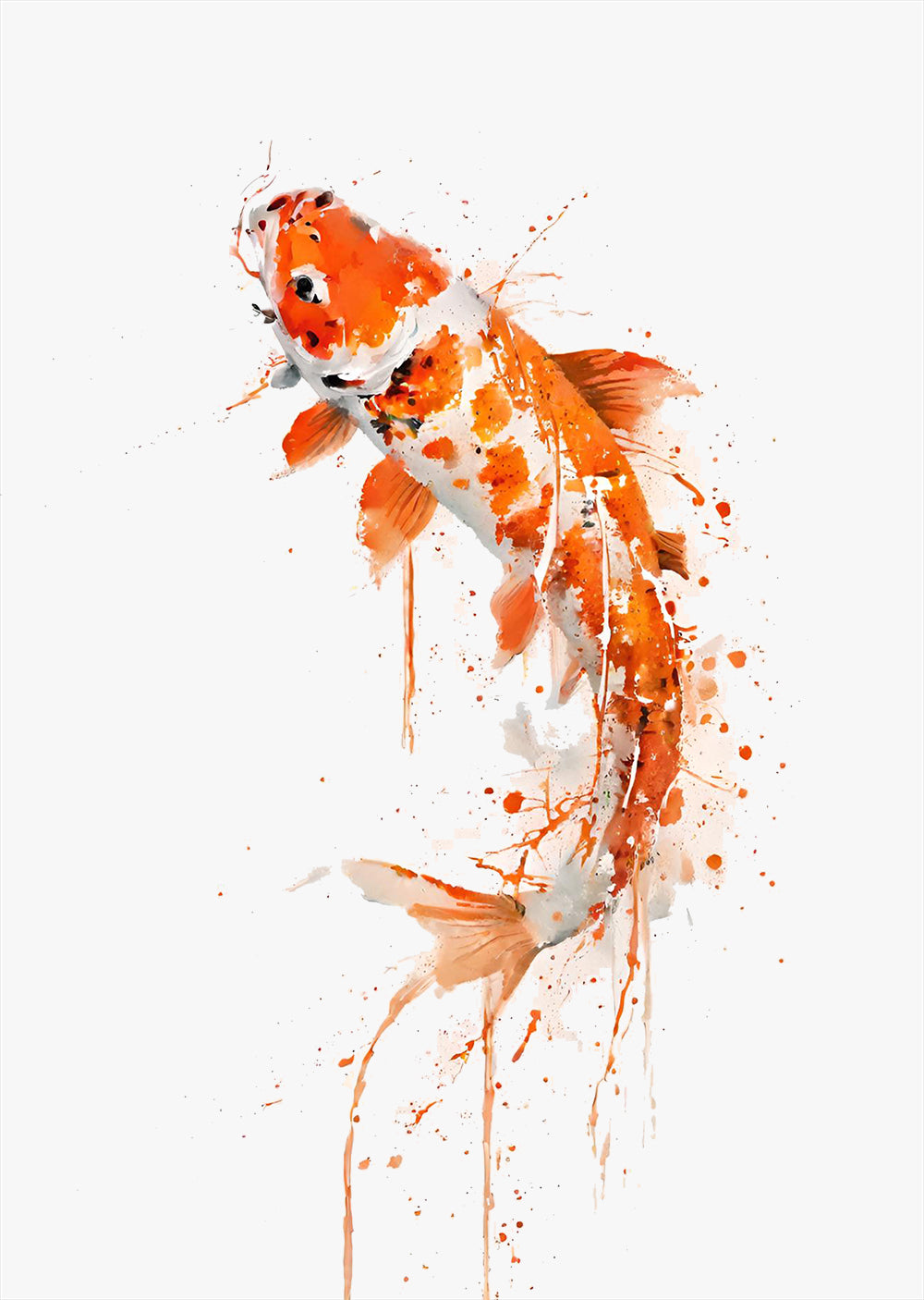 Vibrant Koi Fish Watercolor Wall Art Print