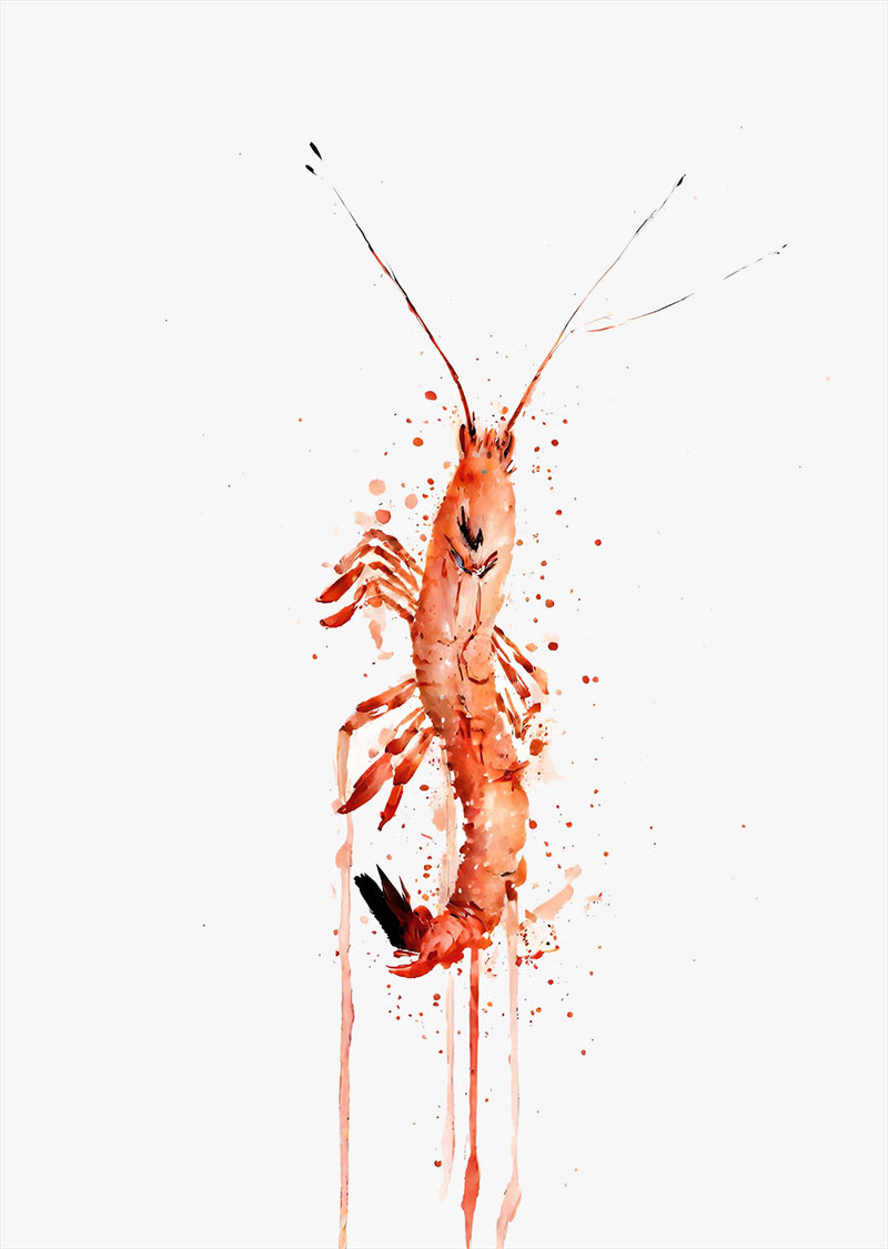 Small Prawn Wall Art Print