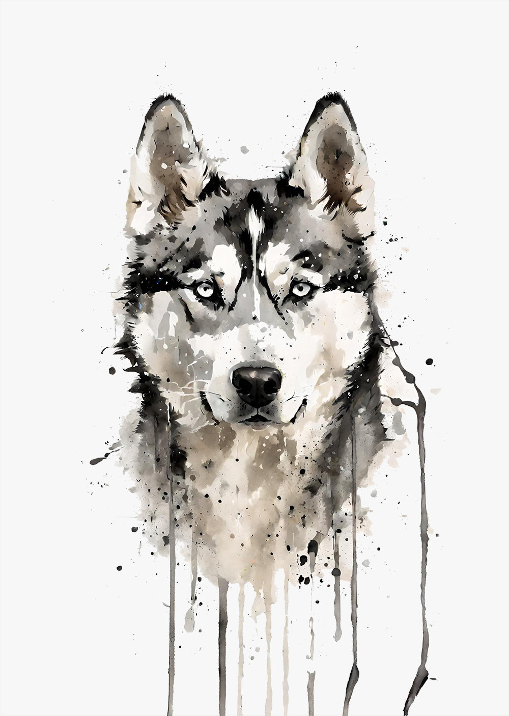 Siberian Husky Wall Art Print