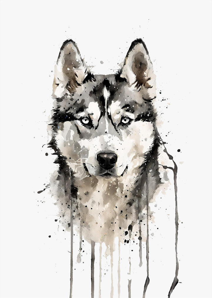 Siberian Husky Wall Art Print