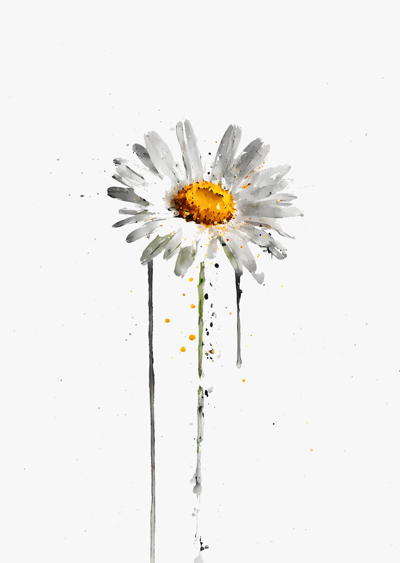 Daisy Flower Wall Art Print