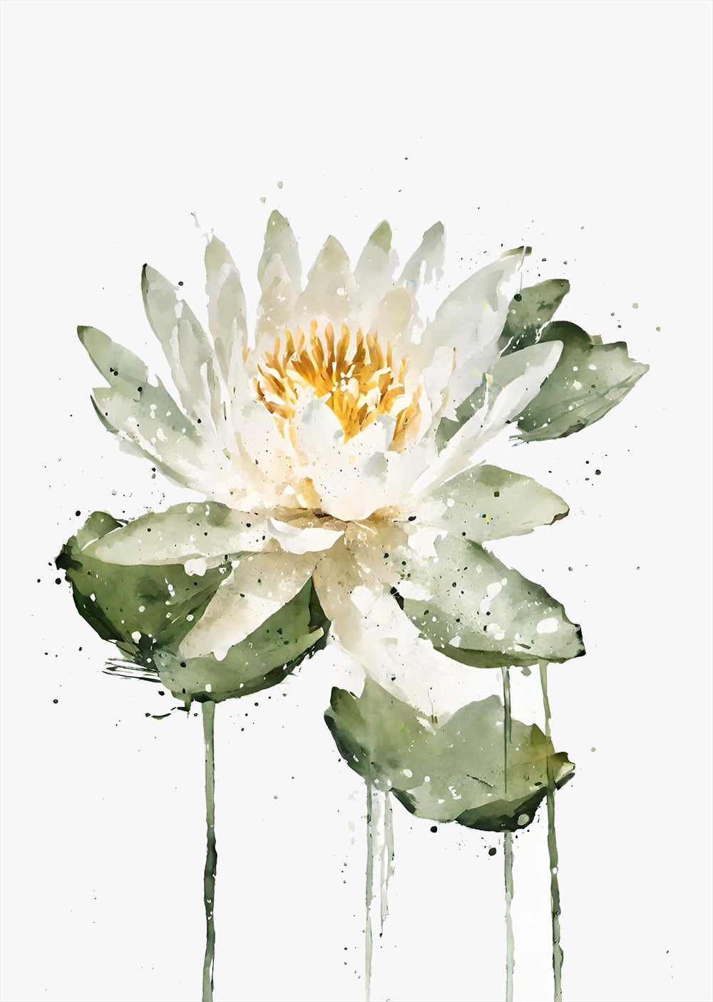 Water Lily Wall Art Print