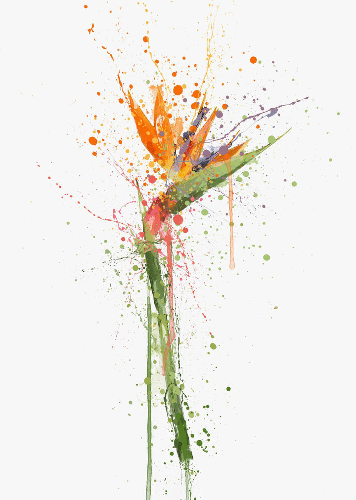 Bird Of Paradise Wall Art Print-We Love Prints