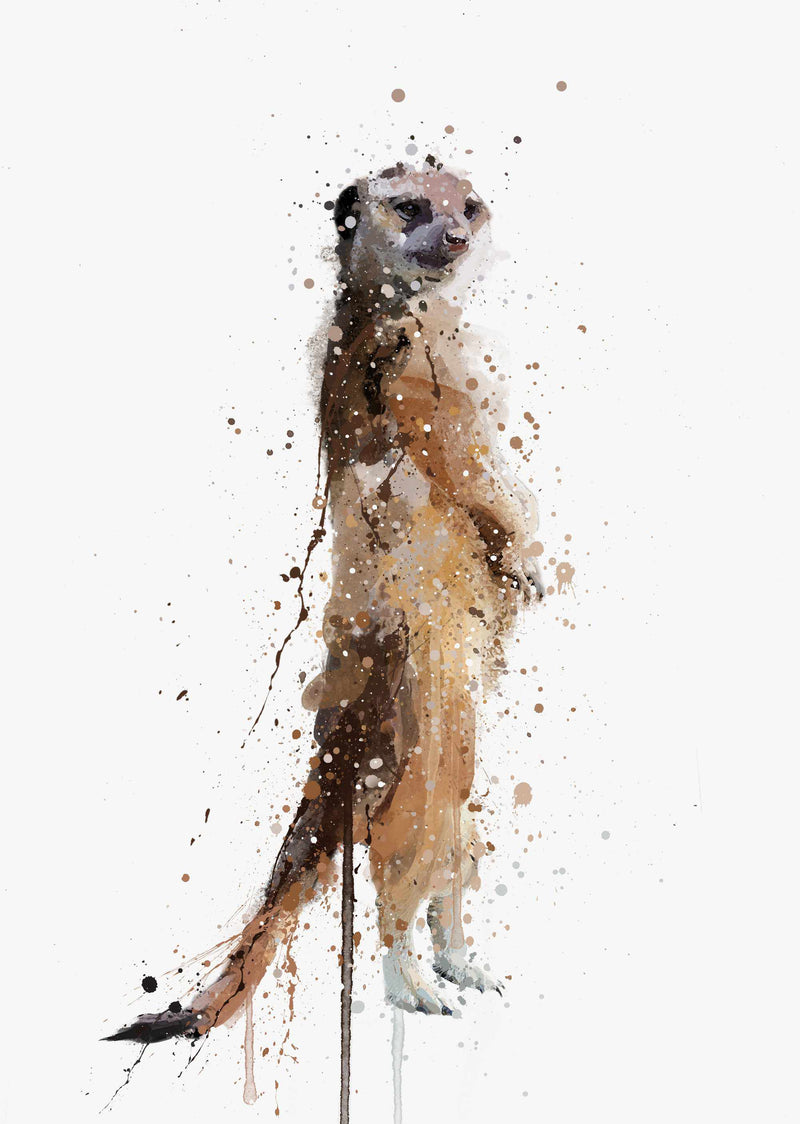 Meerkat Wall Art Print