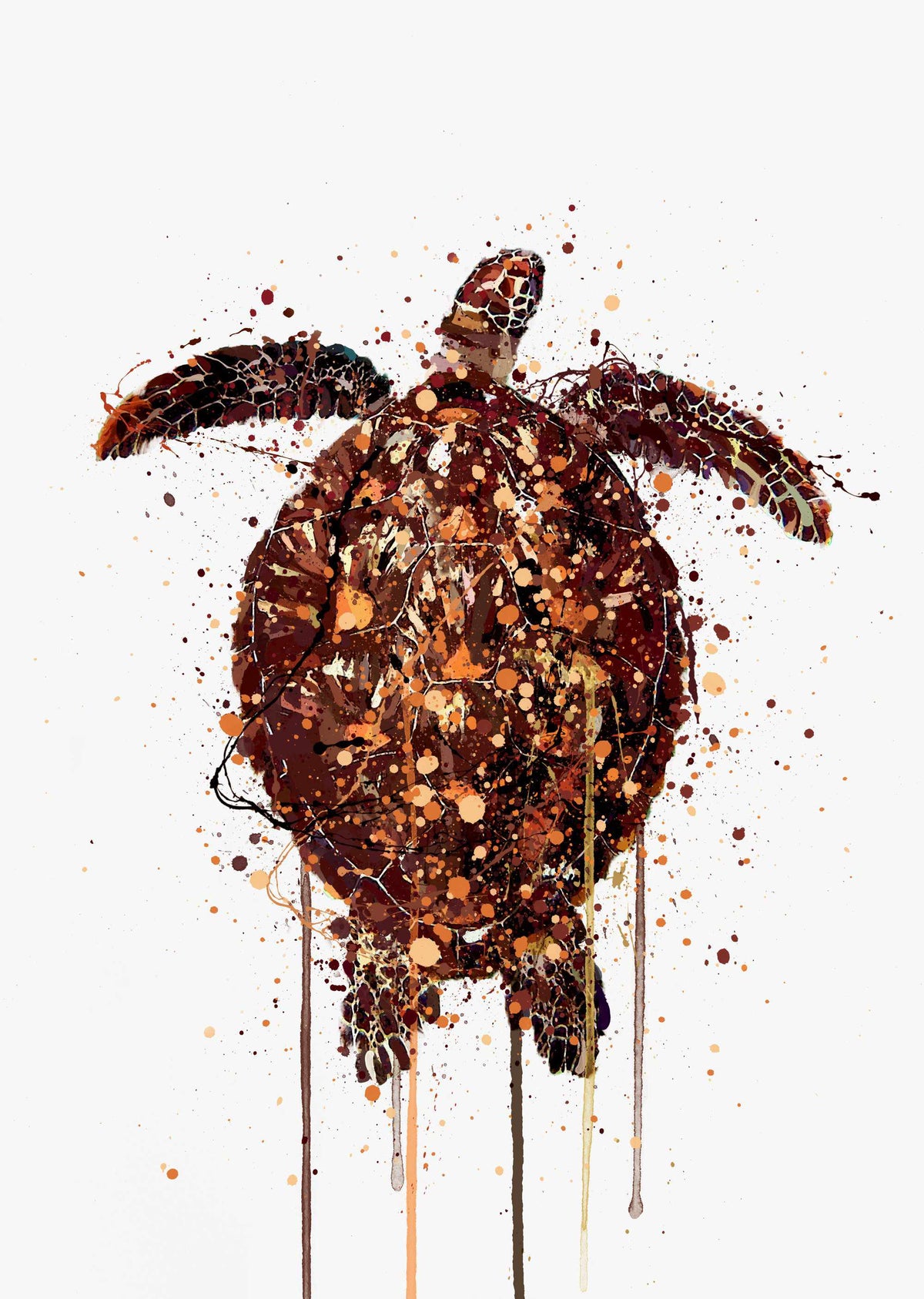Sea Creature Wall Art Print 'Turtle'