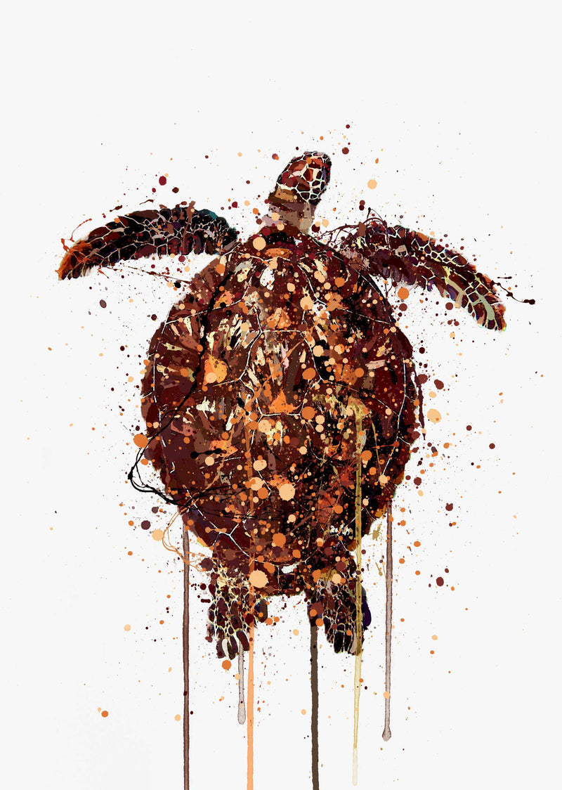 Sea Creature Wall Art Print 'Turtle'