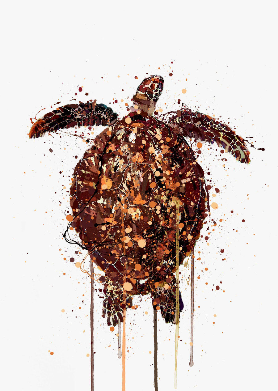 Sea Creature Wall Art Print 'Turtle'