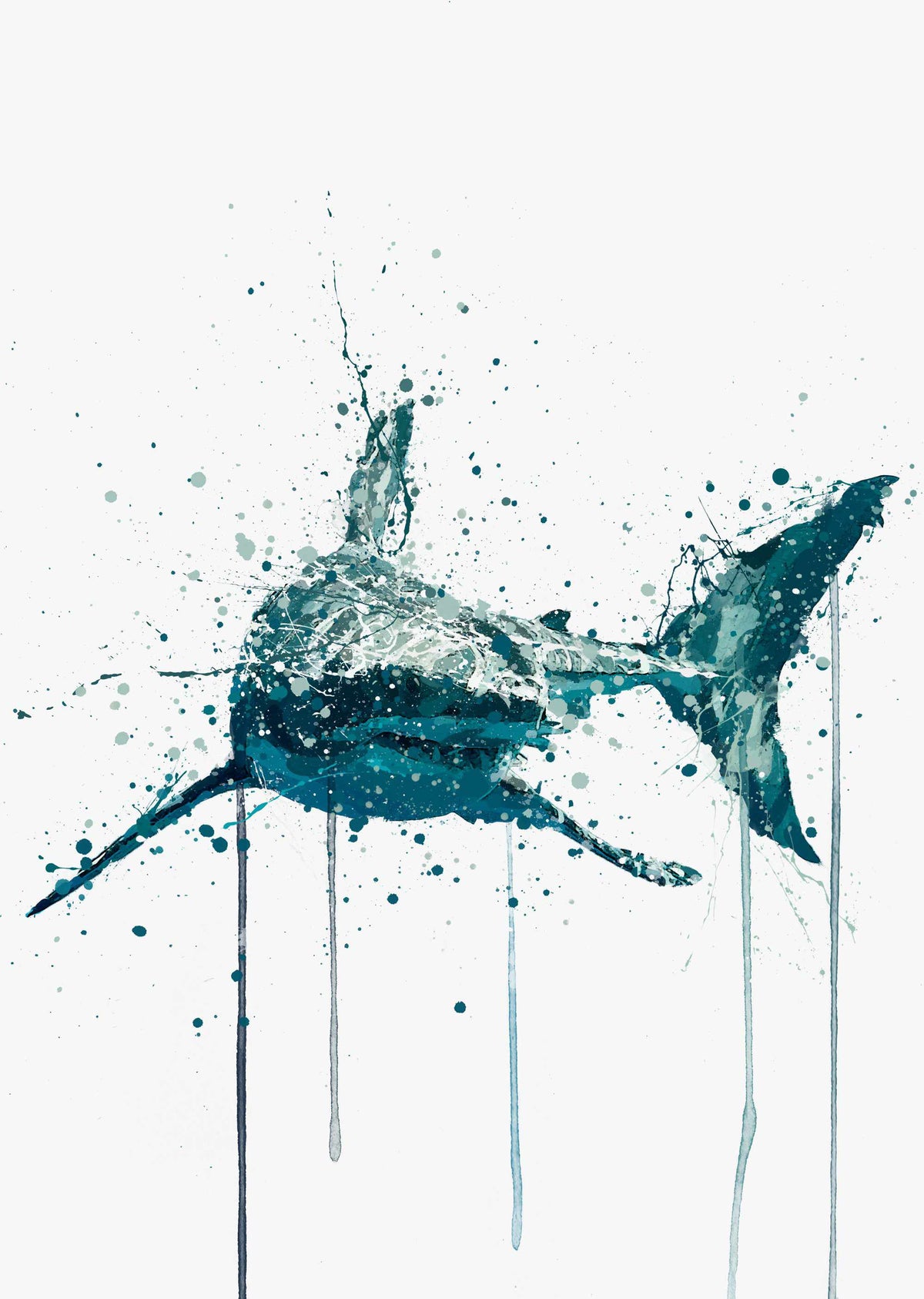 Sea Creature Wall Art Print 'Shark'