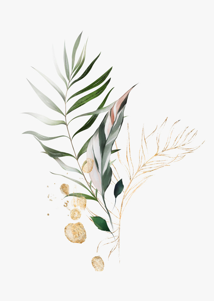 Botanischer Kunstdruck 'Zart' - Pflanzendrucke, botanische Kunstdrucke und botanische Illustrationen