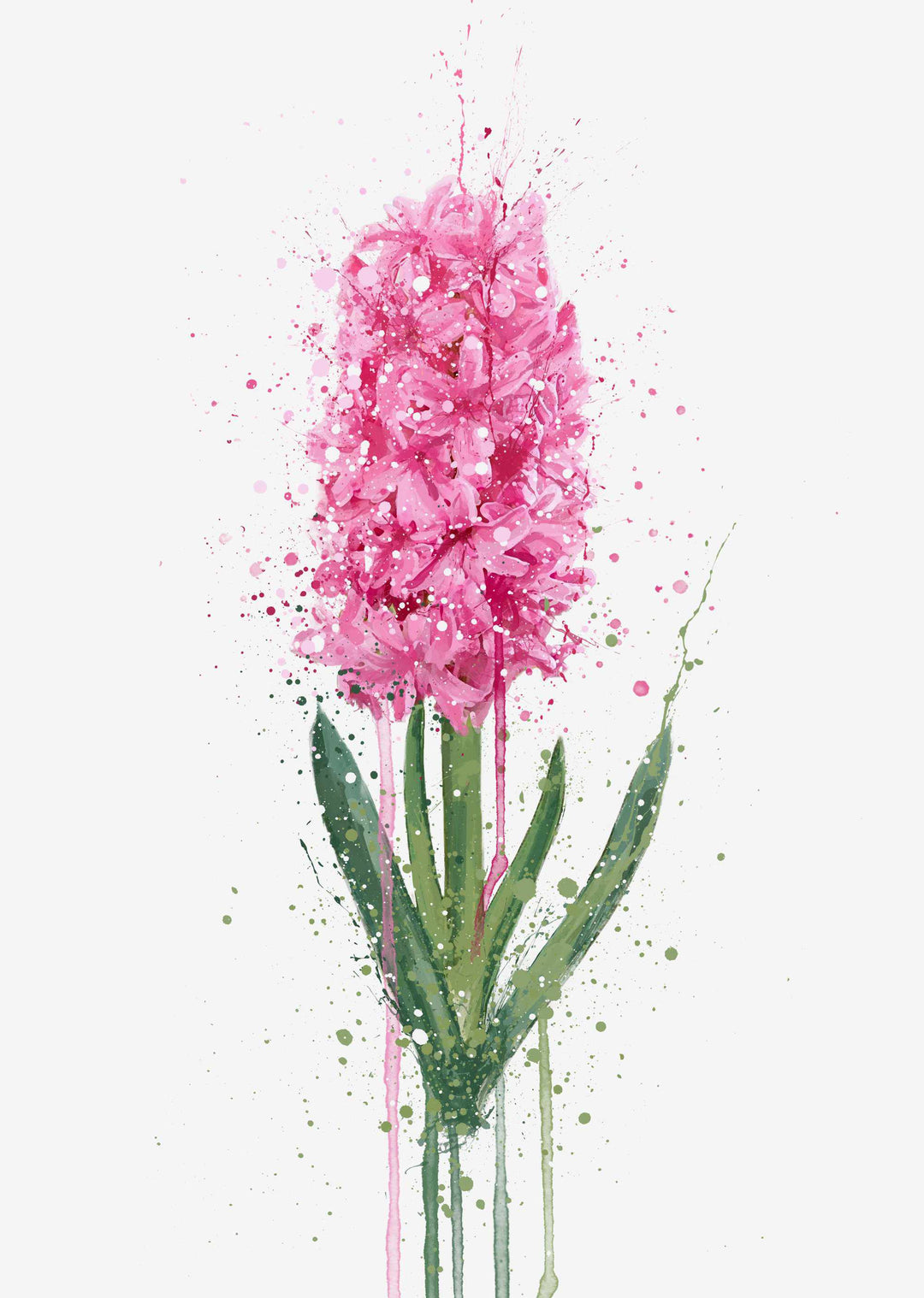 Blumen Wandbild 'Hyazinthe'