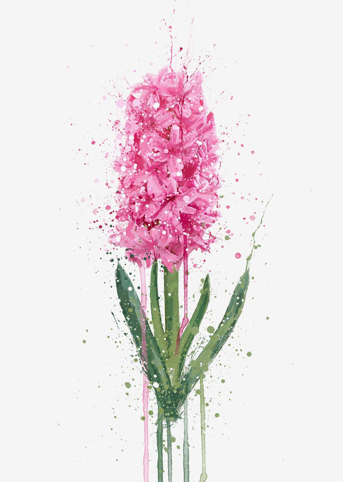 Blumen Wandbild 'Hyazinthe'