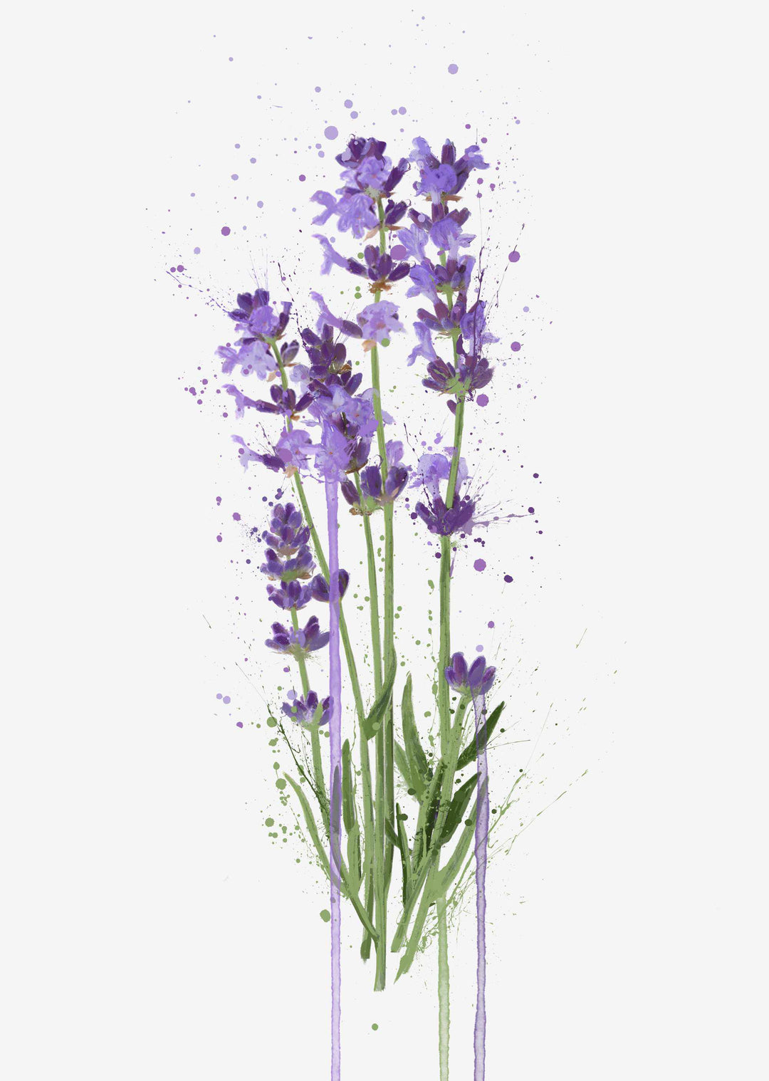 Flower Wall Art Print 'Lavender'
