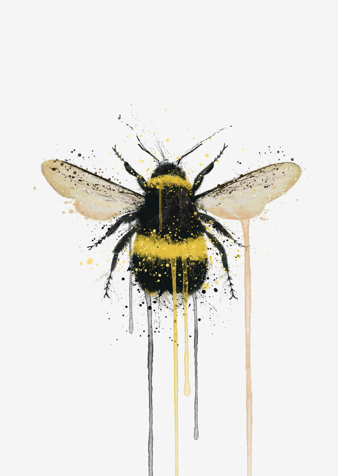 Bumblebee Wall Art Print