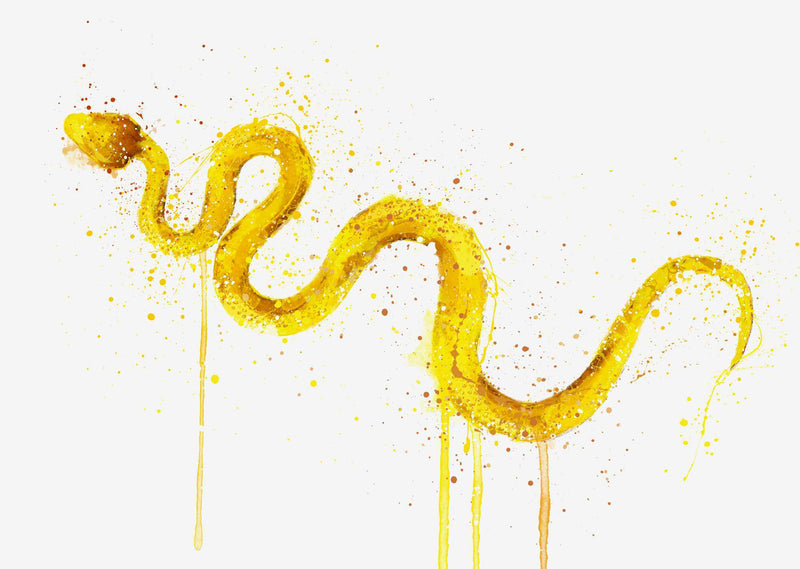 Snake Wall Art Print ‘Viper’