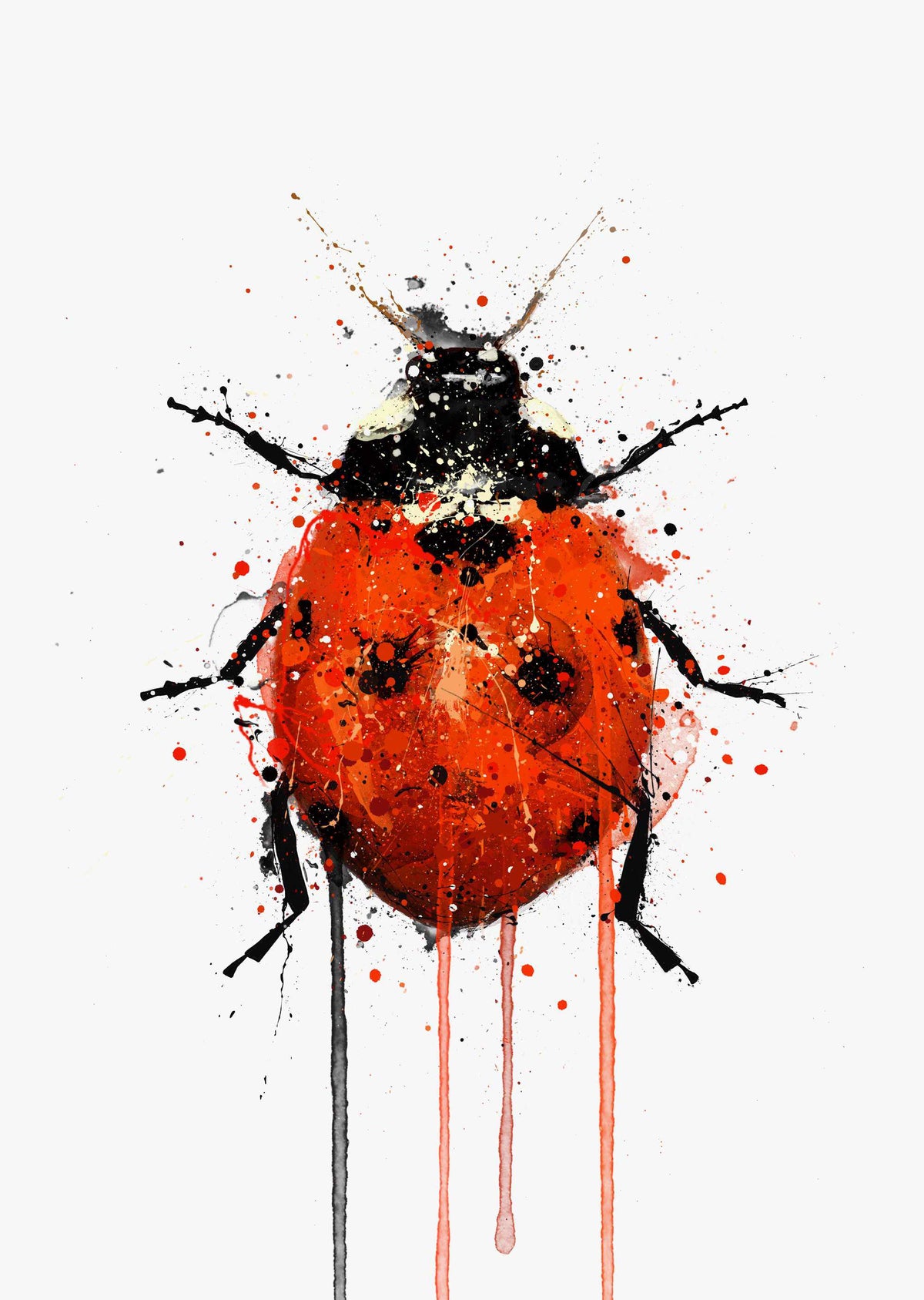 Ladybird Wall Art Print