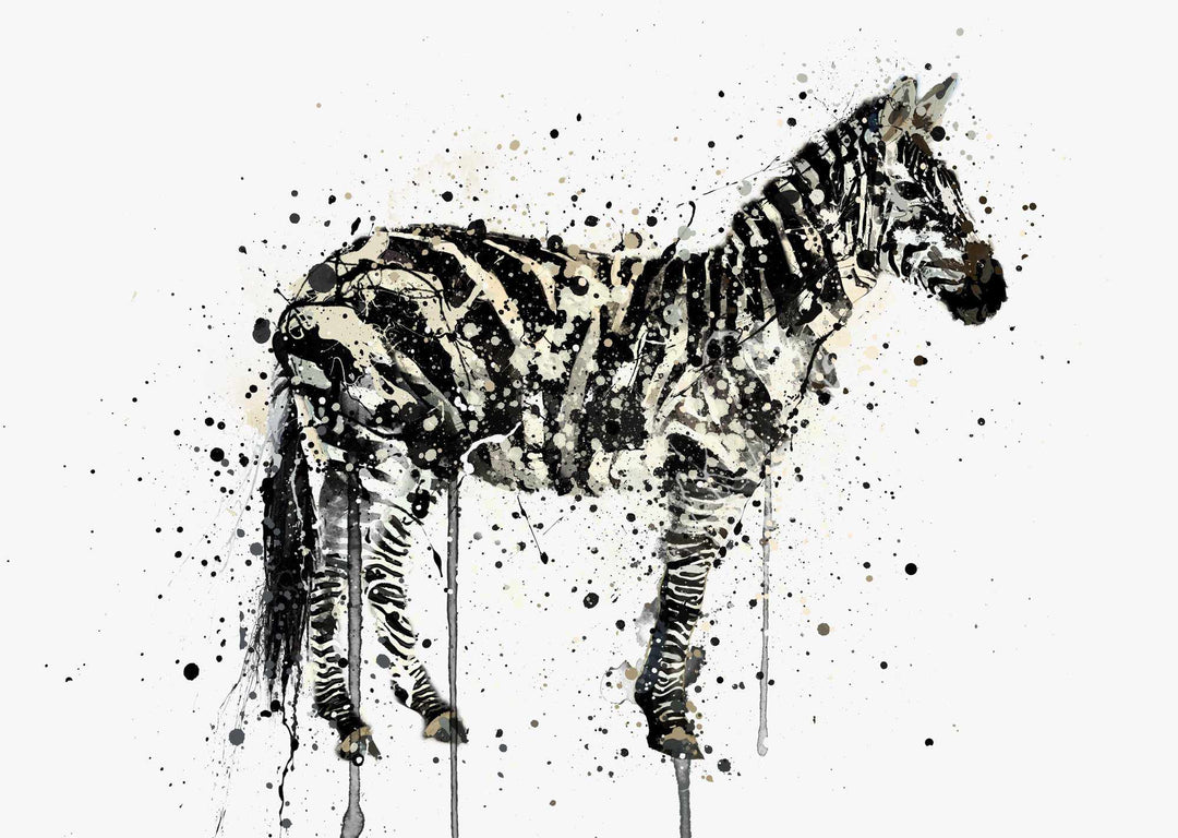 Zebra Wall Art Print