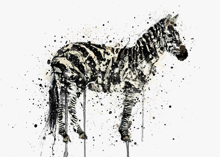 Zebra Wall Art Print