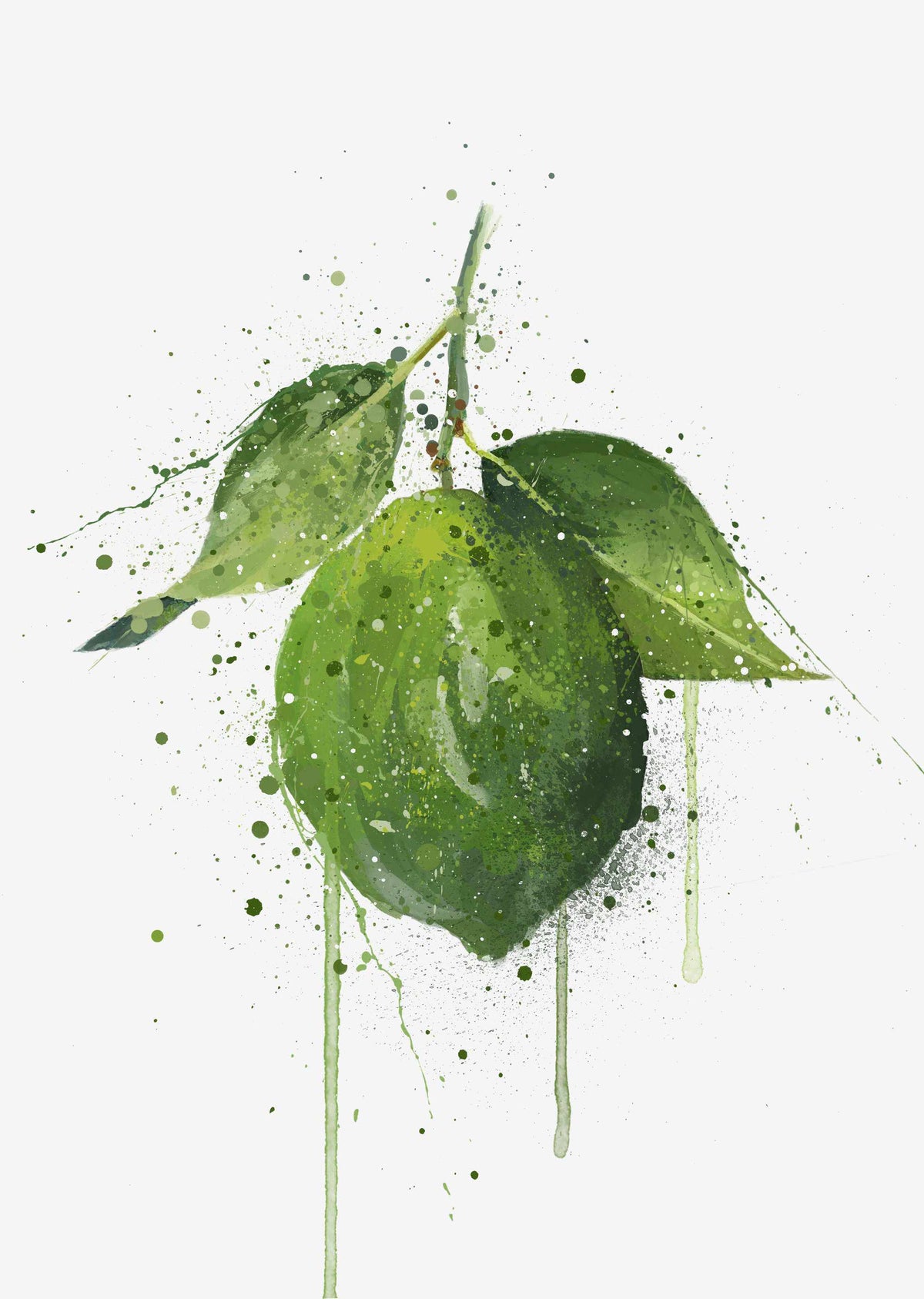 Ganze Limettenfrucht-Wand-Kunstdruck