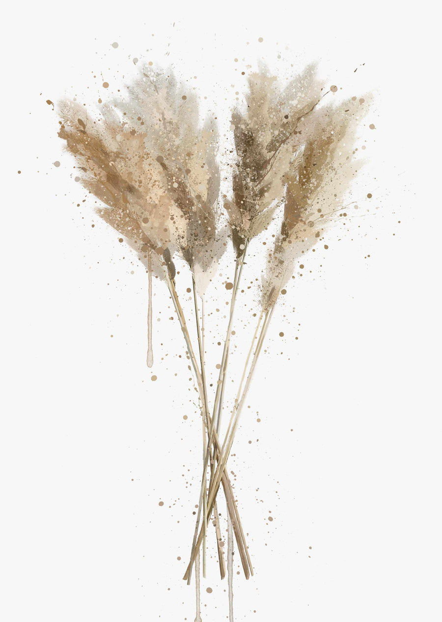 Botanisches Wandbild 'Pampasgras' - Pflanzendrucke, botanische Kunstdrucke und botanische Illustrationen
