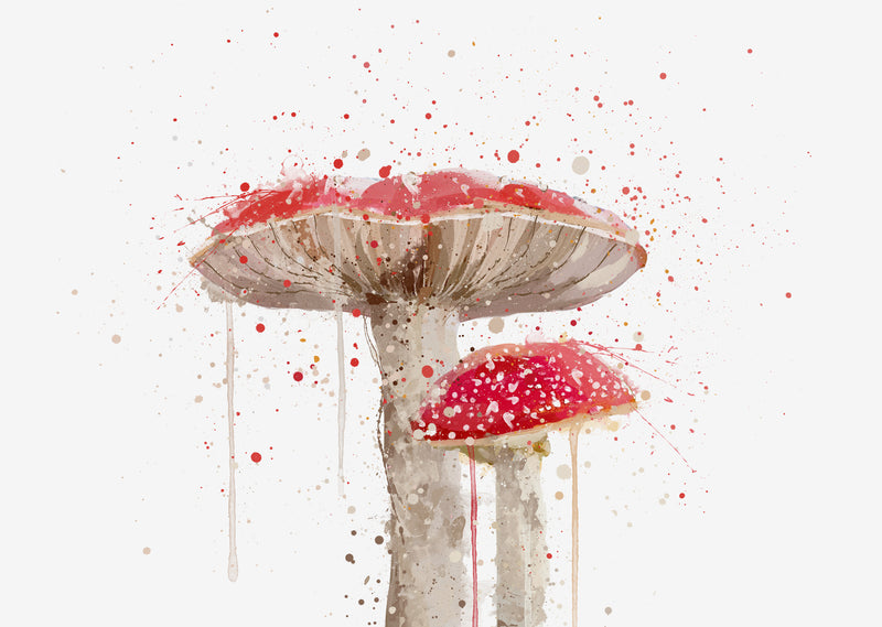 Toadstool Mushroom Wall Art Print - Plant Prints, Botanical Art Prints and Botanical Illustrations