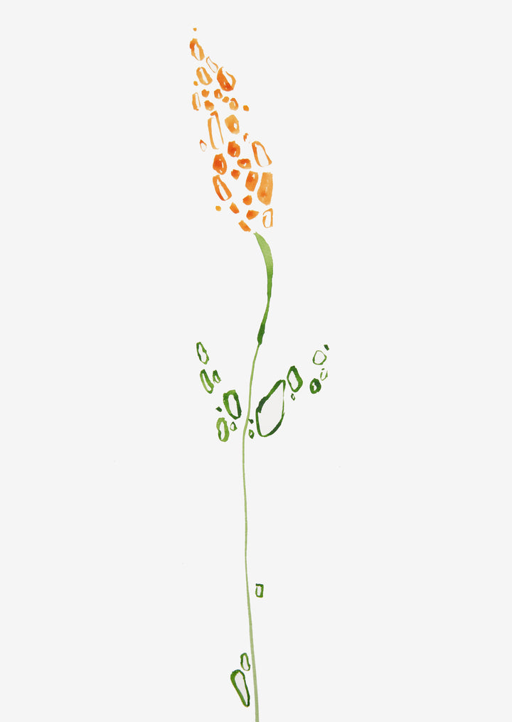 Minimal Wildflower Wall Art Print "Amber"