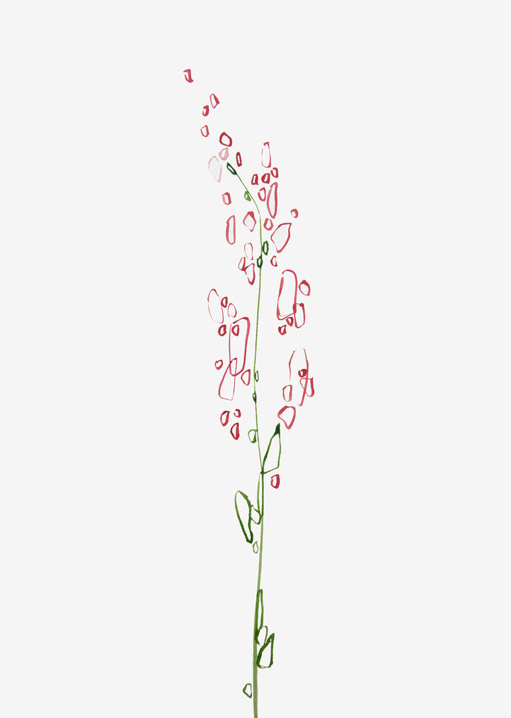Minimal Wildflower Wall Art Print "Deep Pink"