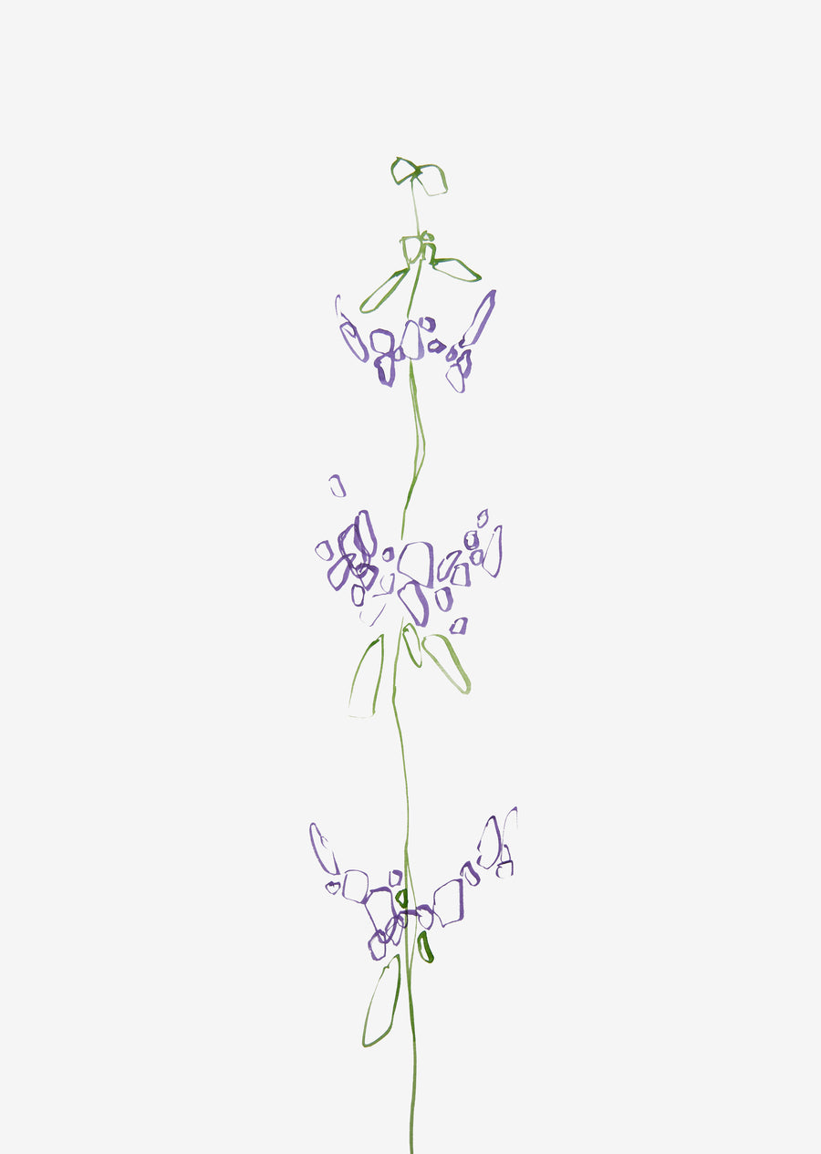 Minimal Wildflower Wall Art Print "Purple"