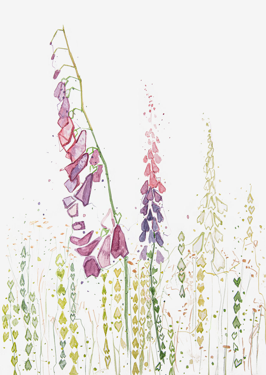 Wild Foxgloves Wall Art Print