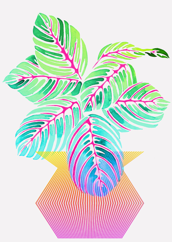 Botanical Wall Art Print 'Holograph' - Plant Prints, Botanical Art Prints and Botanical Illustrations